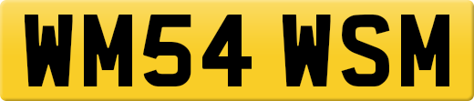 WM54WSM